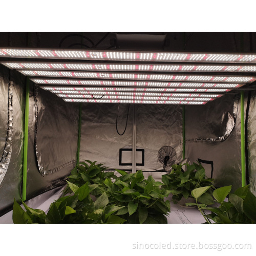640W 650W LED Plant Grow Light for Greenhouse and Indoor Plants